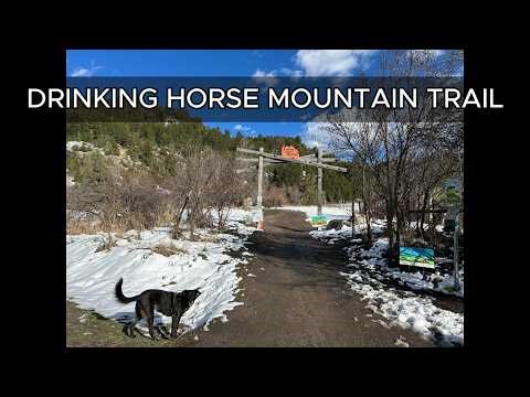 Bozeman Hiking | Drinking Horse Mountain Trail
