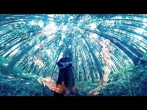 平沢進 (Susumu Hirasawa) — 植物電子の本ギターアルバム2024スニペット(Phytoelectron 2024 Guitar Album Snippet)