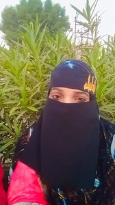 Allah tallah 🤲🕊️ | Saida Khatun