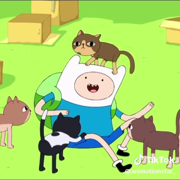 Finn is a character I’ll never forget🥲#finnthehuman #finn #adventuretime #cartoon #fyp