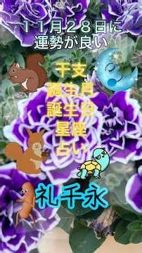 11月28日に運勢が良い 干支・誕生月・誕生日・星座占い✨#神社出身 #明日の運勢 #恋愛運 #金運 #開運 #オラクル#マリア様 #予祝 #仕事運 #ルノルマン#運気#占い #ルーン#タロット