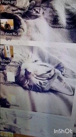 Microsoft mouse without borders installed on my pc and laptop, use same mouse and keyboard for both