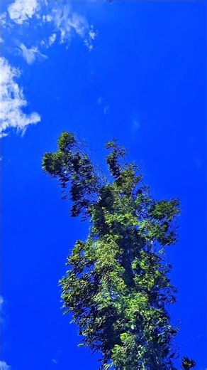 Rafi Abdus Salam #motivation #viral #shorts #reels