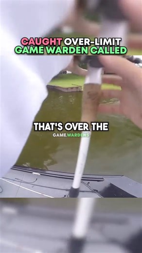 1.4M views · 3.8K reactions | Caught over limit GAME WARDEN CALLED | Super18 | Facebook