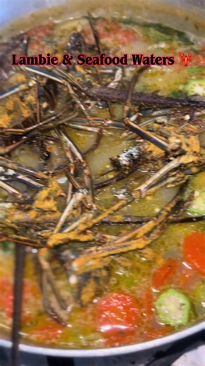 Delicious Lobster & Lambie Waters Seafood Delight