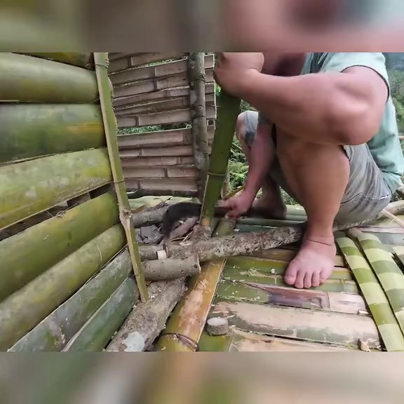 Camping Alone in a treetop shelter in a jungle Part 2 #campingalone #treehousebuilding #primitive_technology #junglesurvival #junglehouse #shelterbuilding