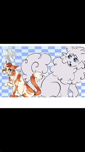 Yall remember when CloudTail hovered over Daisy when she first joined Thunderclan and Brightheart got jealous #Warriors #warriorcats #brightheart #cloudtail #animationmeme