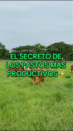 The secret to the most productive pastures.