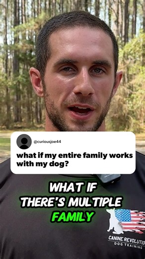 How your family can maintain training with your dog #dogs