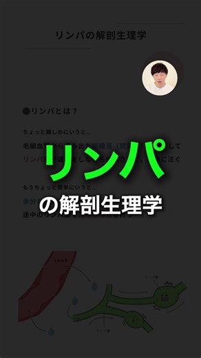 リンパの解剖と生理機能を理解する