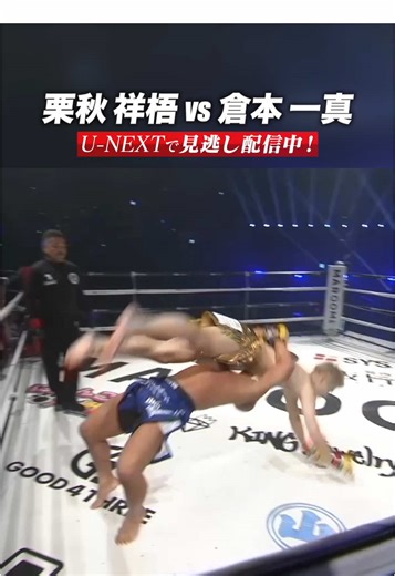 打撃のスペシャリストと投げのスペシャリストの激闘