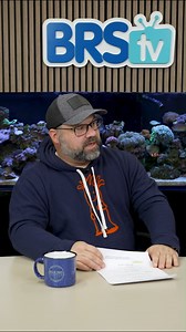 56K views · 449 reactions | Refugiums Are Great for Nano Reef Tanks? Whether you go small or large, refugiums are a great way to filter your saltwater aquarium! #BRStv #reeftank #reefaquarium #nanoreef | Bulkreefsupply.com - Saltwater Aquarium Supplies | Facebook