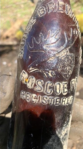 Still searching for one of these Moose Brewing Co. Bottles from Roscoe, PA. #bottledigging #history