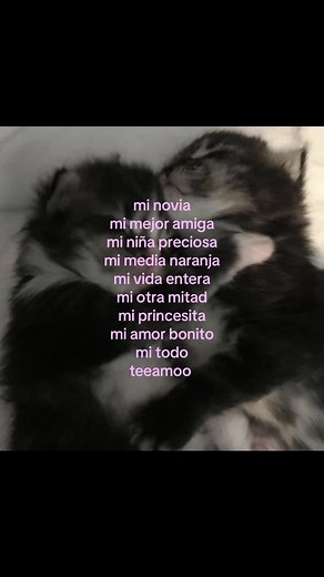Frases románticas para dedicar a mi novia: 20 maneras de decir te amo