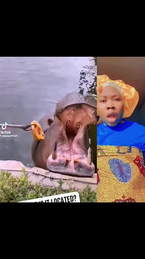 😂😂😂 | Bamba Ali