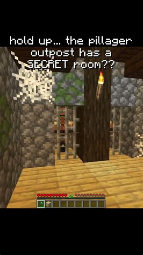 A Secret Room in the Pillager Outpost??