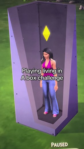 Living in a Box Challenge in The Sims 4