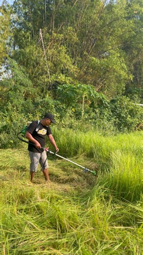 MESIN PEMITONG RUMPUT