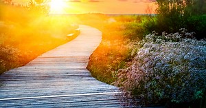 Using Indiana Learning Paths