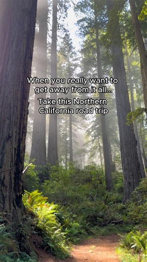 17K views · 277 reactions | When you really want to get away from it...