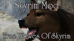 Video :: Skyrim Mods - True Wolves Of Skyrim