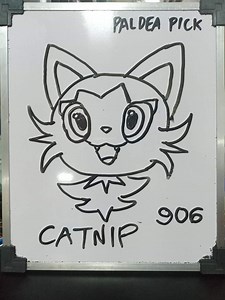 Fall Guys Win Counter Part 25 | Pokémon Amino