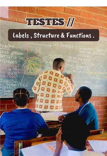 #durbantiktok #umlazitiktoker #lifesciences #ilembelothisha #teachersoftiktok