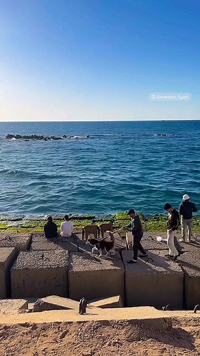 1.7K views · 288 reactions | #alexandria  | اطلالة المنتزه_Al Muntazah View | Facebook