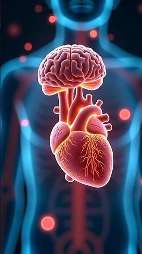 ¿Cómo el DHA de algas mejora tu salud