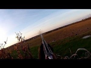Conclusion of the ATA ARMS SP Black cal.20, plus an evening pass..