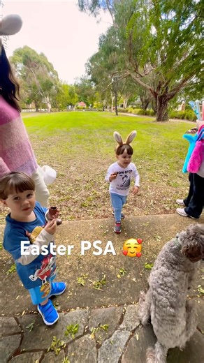 The twins PSA about dogs eating Easter eggs 🥰 #easter #chocolate #cute #adorable #dogs #twins