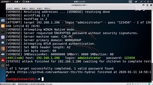 网络安全/渗透测试/Kali/黑客/1-hydra工具在线破解密码
