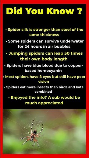 Why Do Spiders Have Blue Blood And 8 Eyes But Still Cant See