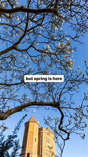 It’s officially spring 🌼 While some flowers are already stealing the show, others are prepping for their big moment. We’re bursting with anticipation for all the vibrant blossoms to come this spring. What is your favourite spring flower? 📷©National Trust Images/ Laurence Perry, Hugh Mothersole, Chris Lacey, Robert Morris, Stephen Robson, Sarah Haile #NationalTrust #SpringIsComing #SpringIsHere #SpringFlowers #accessibility: A slideshow of photos showing a range of spring flowers, including daf