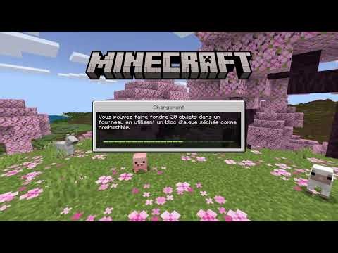 Minecraft survie usine a fer