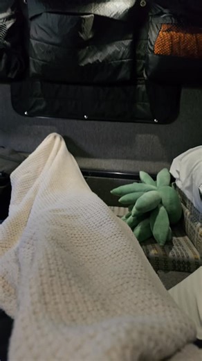 Snowboarding Vol 7 June Mountain #junemountain #junelake #mammothmountain #snowboarding #outdoor | GX Swish