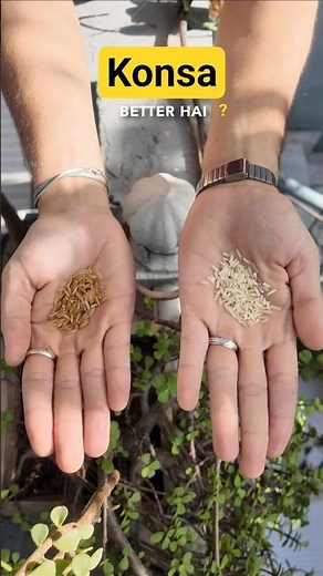 Brown Rice vs White Rice 🍚