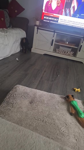 this boy knows how to tare up a house | Mark Quinn