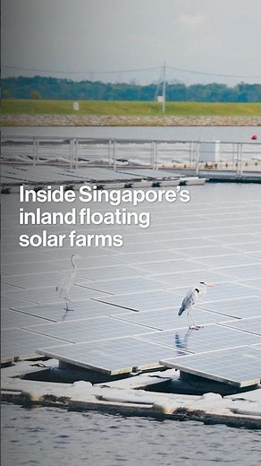 Inside Singapore's Inland Floating Solar Farm
