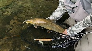...gotcha #flyfishingnation | Fly Fishing Nation