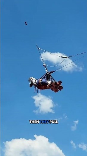 Royal Rush: The Swing 1,200 Feet Above a River #Shorts #USA #Adventure #swing