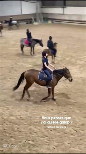 Je mérite qu'elle galop ? (dressage)