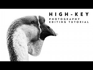 High-key | Photography editing tutorial.