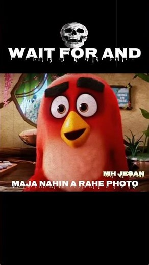 When Birds Get Too Angry... 💢 | #Angry Birds Clip