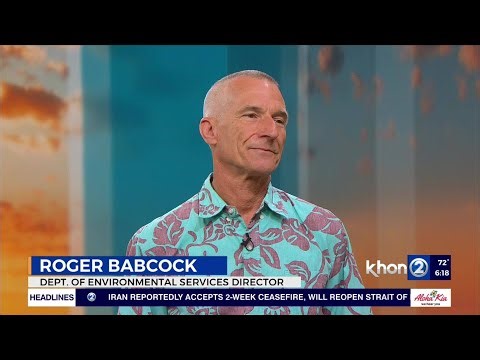 ENV Director Interview