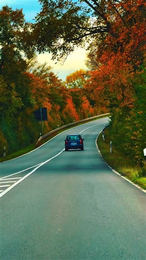 #germany🇩🇪 #travel #naturephotography | Travel with Ali