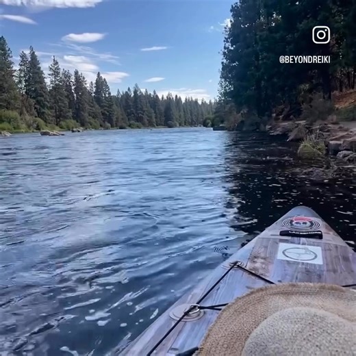 Today I’m grounding into gratitude; for the simple, sacred things. The warmth of morning light. The breath that reminds me I’m still here. The lessons that shaped me, even when they came wrapped in pain. I’m learning that gratitude isn’t about pretending everything’s perfect… it’s about remembering that even within the chaos, there’s still beauty, still love, still peace all around us! What’s one thing you’re grateful for today? #GratitudeChallenge #HealingJourney #BeyondReiki #DailyGratitude | 