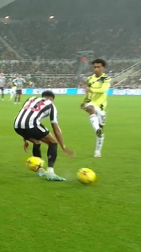 Tyler Adams Scores a Goal with a Perfect Corner Kick