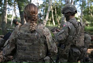 High risk of sabotage against Danish armed forces, intelligence service says