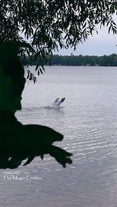 860K views · 8K reactions | A mermaid makes an appearance in Fife...